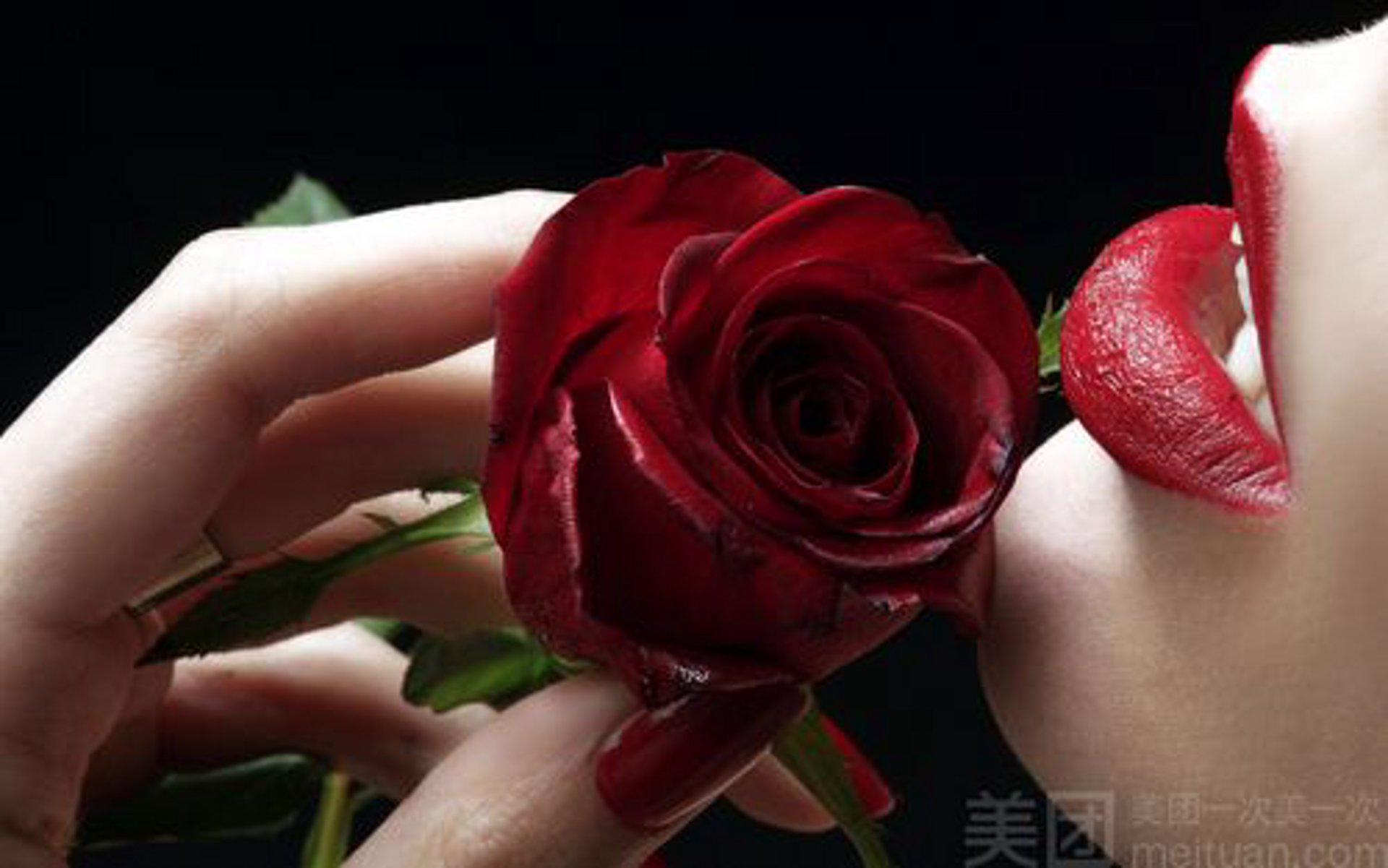 玫瑰迷妮花艺